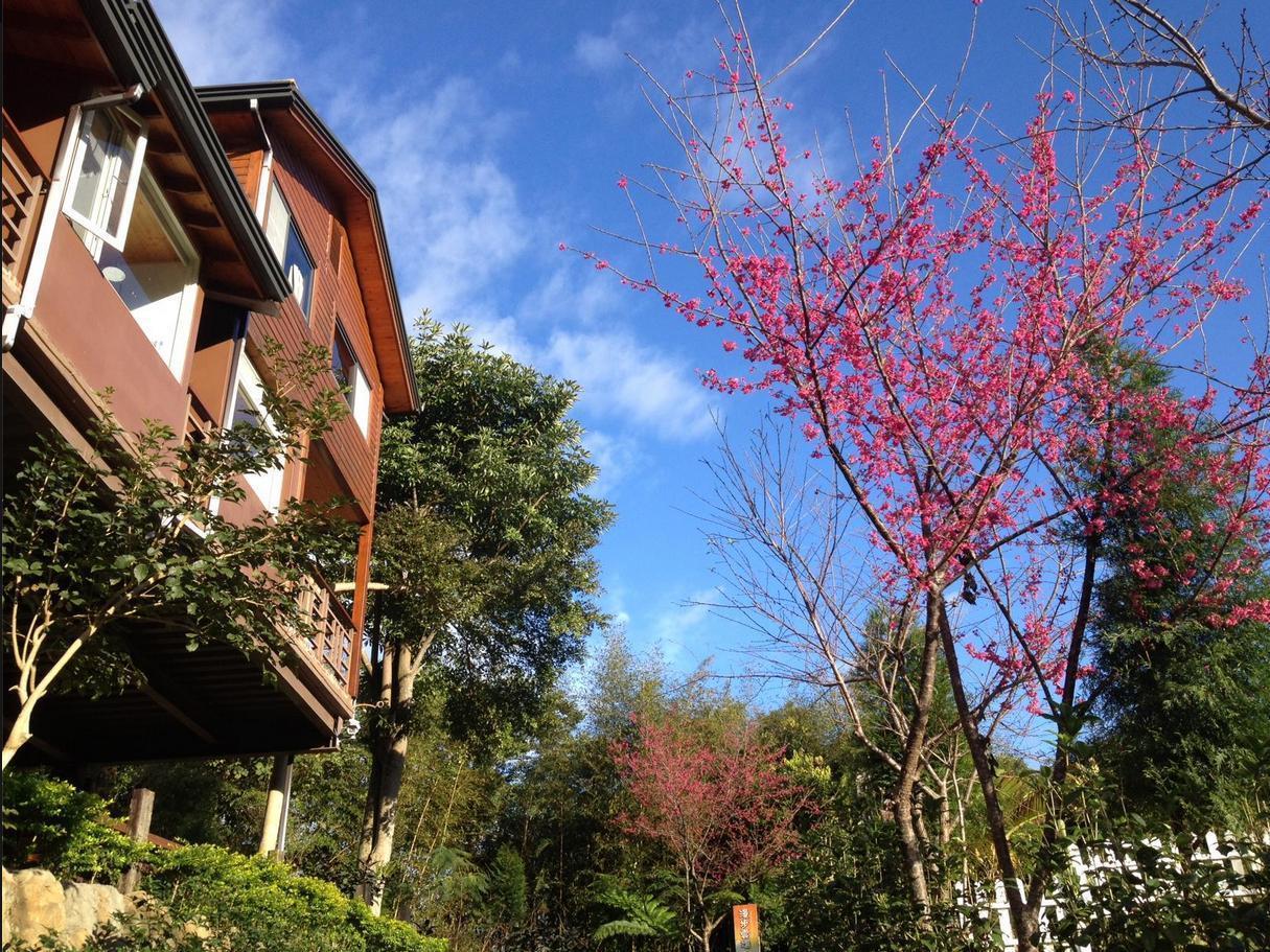 Walk Cloud Bed And Breakfast Meishan Eksteriør bilde