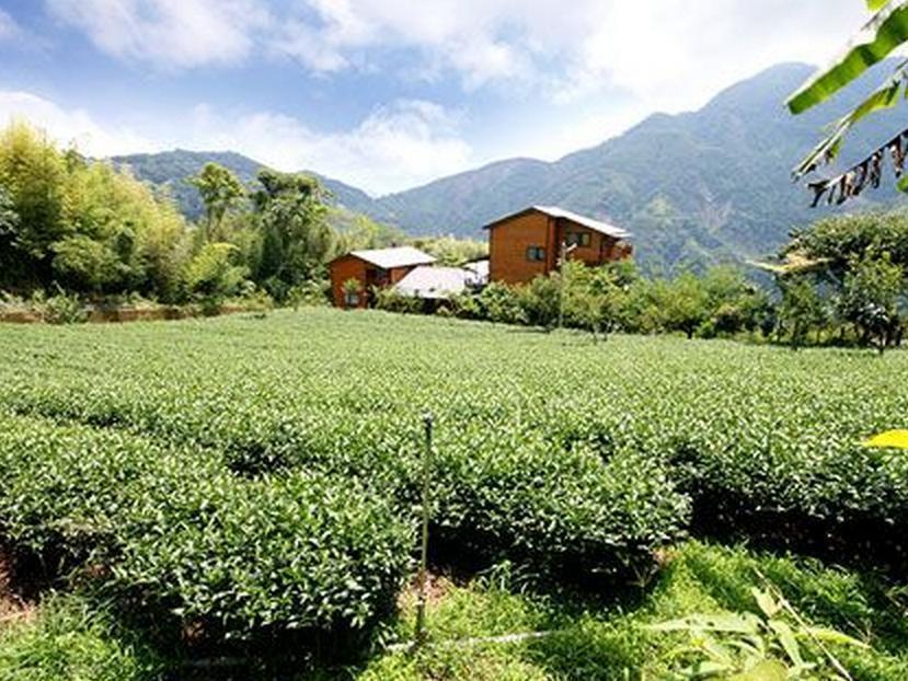 Walk Cloud Bed And Breakfast Meishan Eksteriør bilde