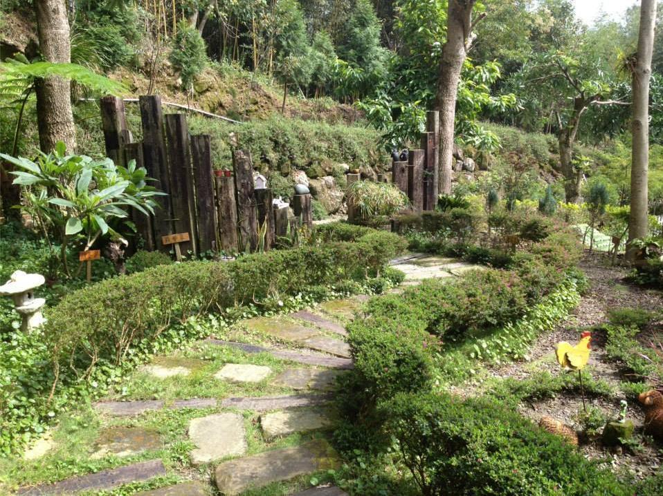 Walk Cloud Bed And Breakfast Meishan Eksteriør bilde